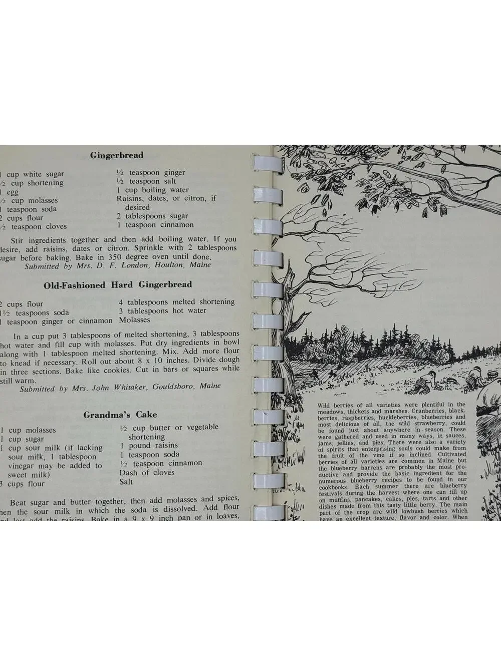 Vintage 1969 Maine's Jubilee Cookbook, Local Recipes Spiral Fundraiser Cookbook